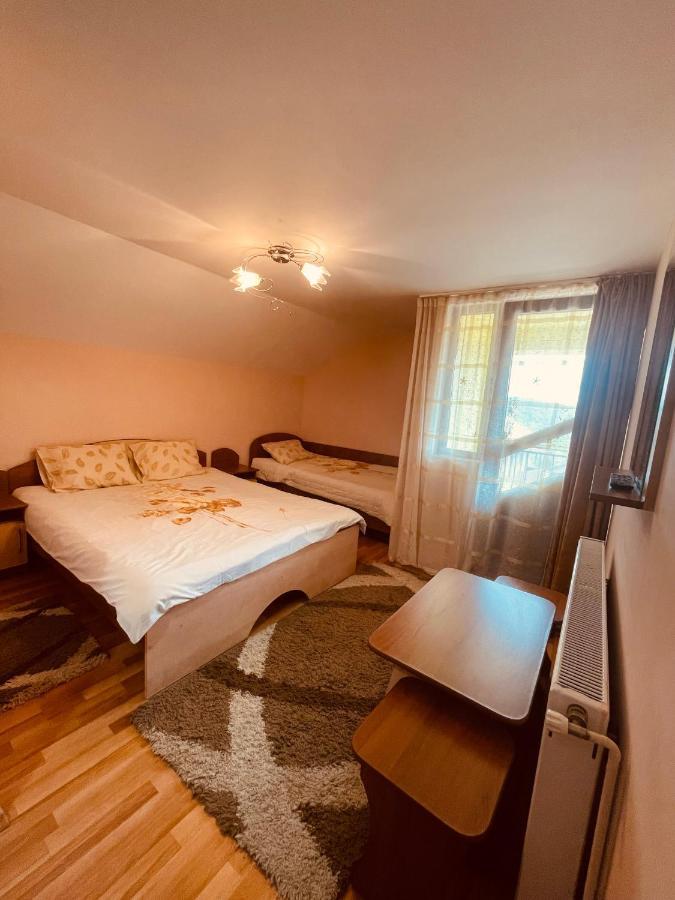 Pensiunea Valea Ursului Cîmpulung Exterior foto